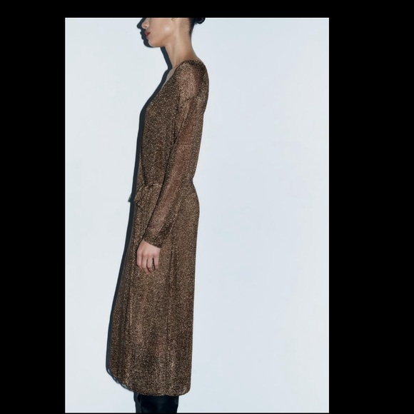 Zara Brown Midi Dress - Picture 2 of 7